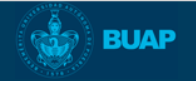 expert logo